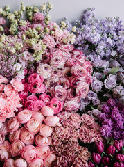 Beautiful fresh blossoming flower bed of pink Cappuccino Ranunculus, purple roses and Mattiolas,...