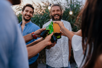 Friends Toasting at Party