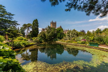 Fototapeta na wymiar Wells Cathedral from the Bishops Palace Botanical Gardens