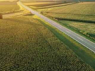 Aerial view of road through countryside and cultivated field © Bits and Splits