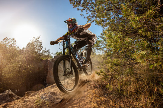 Mountain biker on forest trail. Male cyclist rides the rock