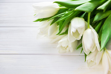 Set of five different color tulips isolated on white background