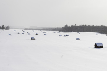 Winter landscape with snow-covered smooth field with rolls of hay in light fog