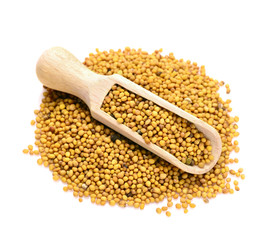 heap of mustard seeds isolated on white