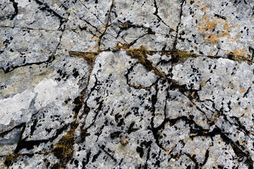Moss on rock