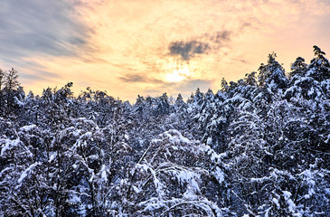 Winter sunset view landscape with trees covered with snow.