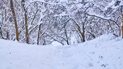 Stairs in winter park covered with snow.