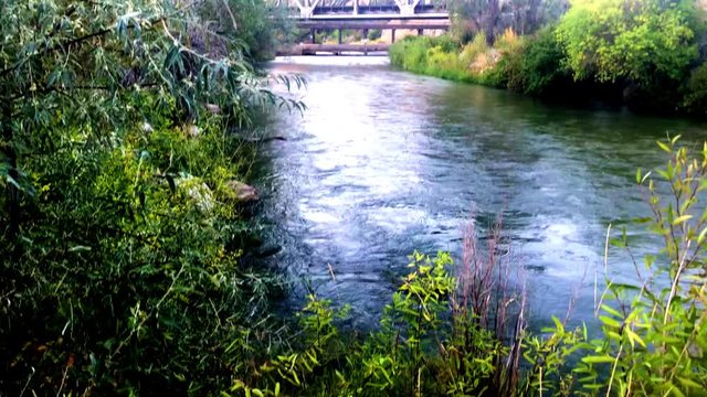 Train bridge over stream