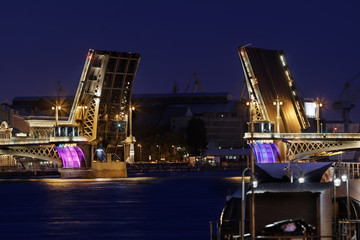 Fototapeta na wymiar The Blagoveshchensky Bridge, St. Petersburg, Russia