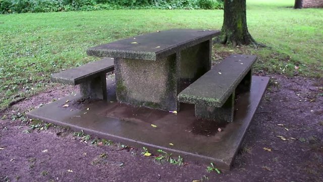 A bench at a local park
