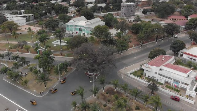 Aerial View of the Famous and Historic Giant Baobab Tree in Mahajanga, Madagascar