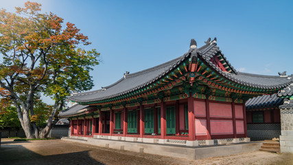Fototapeta premium Autumn Changdeokgung Palace