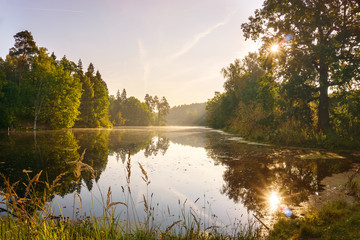 Morning in the autumn forest by the lake	
