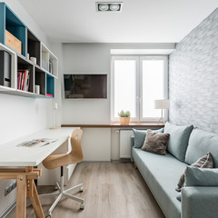 Desk, couch and bookcase