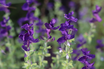 Beautiful Park in autumn