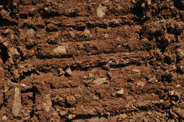 Traces of wheeled vehicles used in agriculture on a dirt road