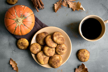 Pumpkin Snickerdoodle Cookies