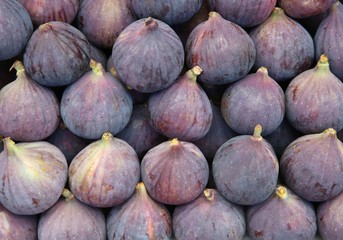 figs on the market