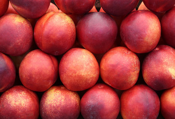 nectarines on the market