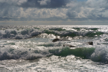 Ocean daytime landscape, giving strength. The space is filled with water, spray and ocean noise