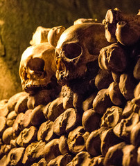 Skulls and bones in the Catacombs of Paris, France