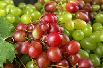 Fresh ripe grapes, closeup