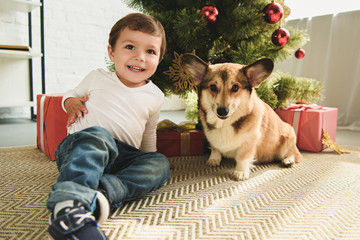 happy kid with welsh corgi dog sitting under christmas tree