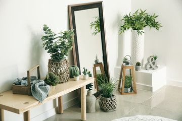 Stylish room interior with mirror and houseplants near white wall