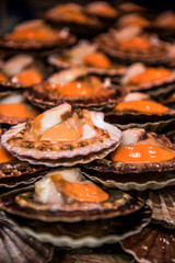 Shellfish in a stand of Bastille street market in Paris, France