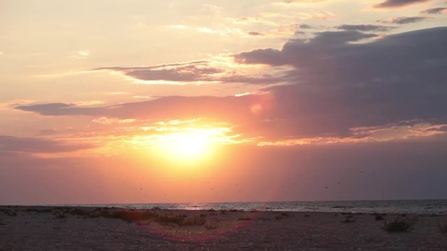 Чайка летит над морем рассвет