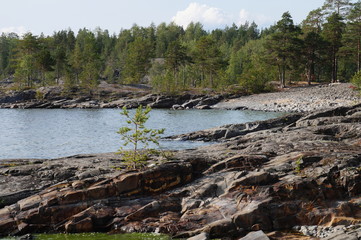 Rocky shore of the lake Bay with coniferous forest. Clear Sunny summer day.