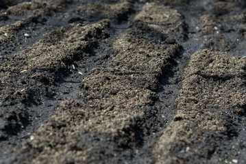 The texture of the soil close up ready for planting.