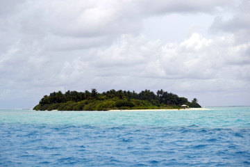 Naklejka premium Maldive