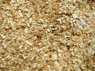 Texture of sawdust