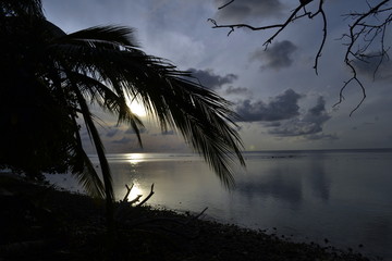 Maldive