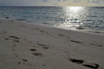 Maldive