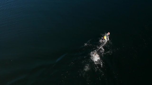 Athlete of triathlon training swimming in a nearby lake of dark waters