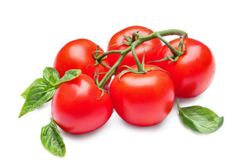 Delicious tomatoes and fresh basil on white background