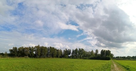 Fototapeta premium Natur Panorama Lanschaft mit Bäumen und Wiese