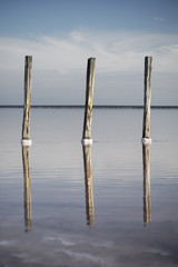 three wooden columns in water with reflections in red salt lake in Ukraine