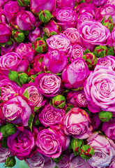 Obraz na płótnie Canvas floral background of red roses