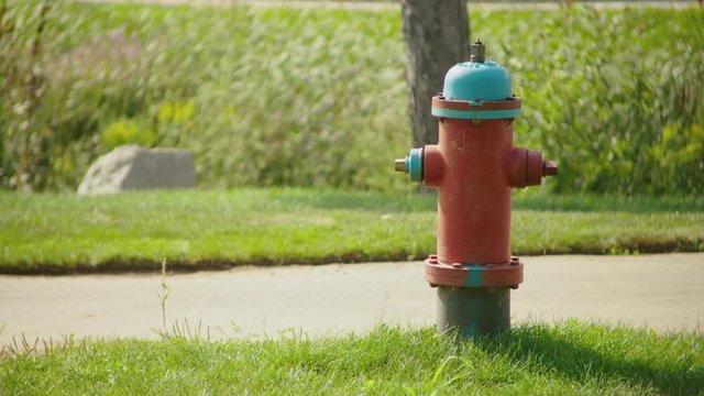 Slow push in on fire hydrant on windy day