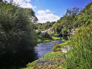 Fototapeta premium The river 