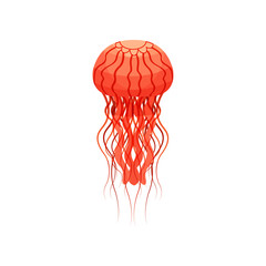 Red jellyfish, beautiful sea creature vector Illustration on a white background