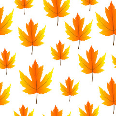 Beautiful autumn seamless pattern. Hand drawn background with bright maple leaves. Vector for design, postcard, print, poster, clothes, textile, autumn party, advertising.