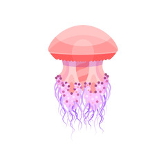 Pink glowing jellyfish, beautiful sea creature vector Illustration on a white background