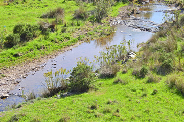 Stream in Algarve, Portugal: Barranco do Tanoeiro