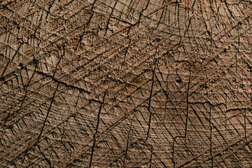 wood brown plank texture background