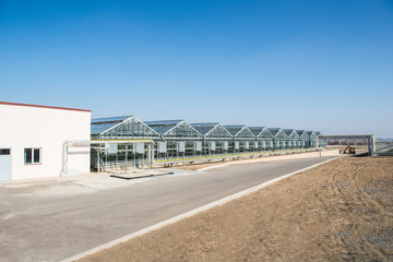 Fototapeta na wymiar panorama and appearance of the greenhouse in the day time. facade and glass roof of hothouse