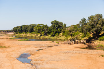 Fototapeta na wymiar A dry river bed in the Kruger park, South Africa